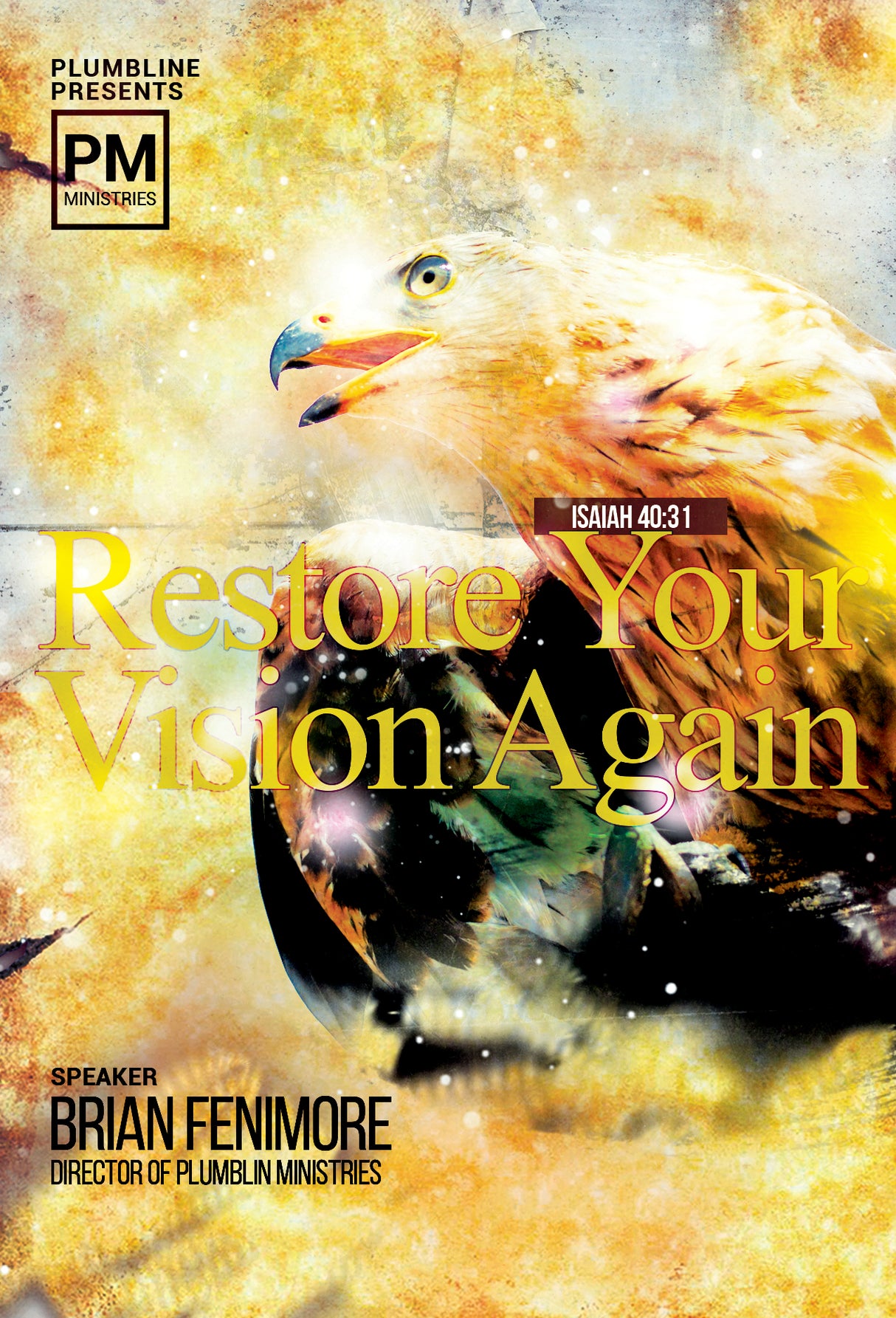 Restore Your Vision Again - Plumbline Store