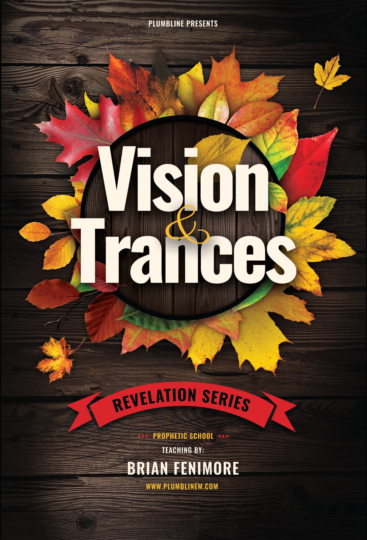 Vision & Trances From God - Plumbline Store