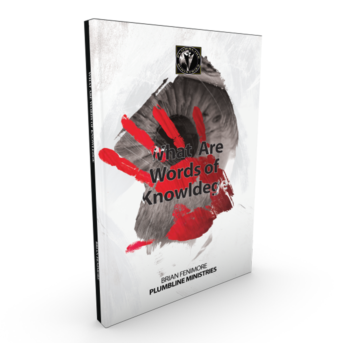 What Are Words of Knowledge - Plumbline Store