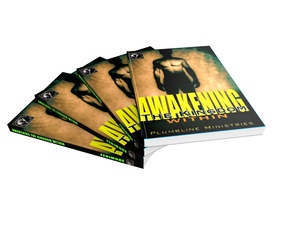 Awakening the Kingdom Within - Plumbline Store