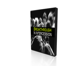 Praying for Good Government - Plumbline Store