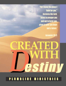 Vision into Destiny - Plumbline Store