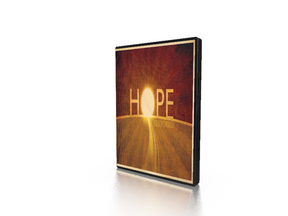 Hope For Joy - Plumbline Store