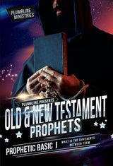 Old To New Testament Prophets - Plumbline Store