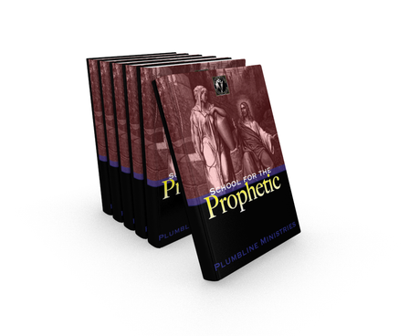 Basic Training for the Prophetic - Plumbline Store