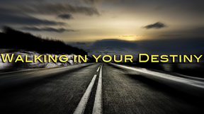 Motivation Tests - Plumbline Store